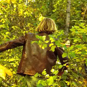 Picture for song 'The Cadences of My Life' by artist 'Pocke Ohrstrom'