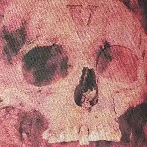 Picture for song 'Ken Carson x Lancey Foux x Playboi Carti Type 645' by artist 'Prod LnlyBoy'