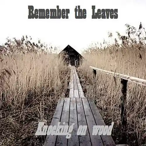 Picture for song 'Throwing a coin (draft)' by artist 'Remember the Leaves'