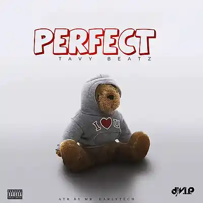 Picture for song 'perfect' by artist 'TAVY BEATZ'