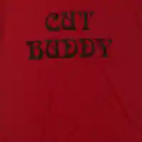 Picture for song 'Cut Buddy' by artist 'The Akkolades'