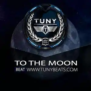 Picture for song 'To The Moon' by artist 'Tuny Beats'