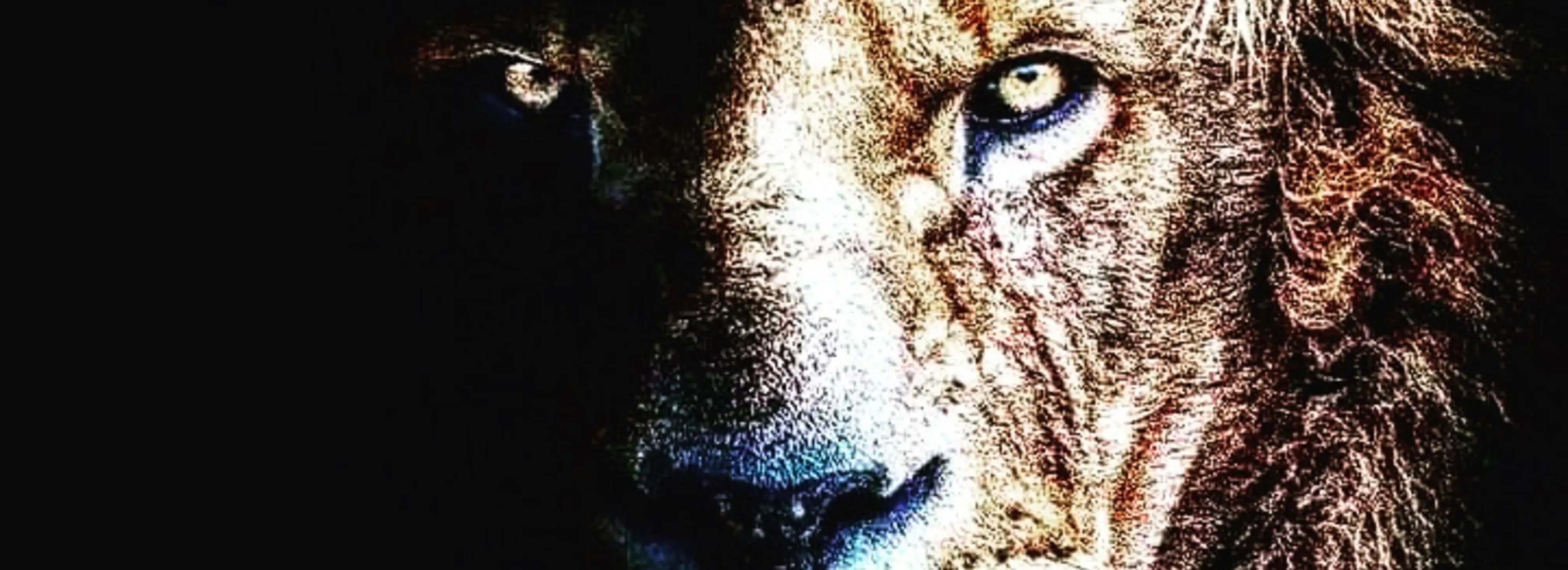 cover pic