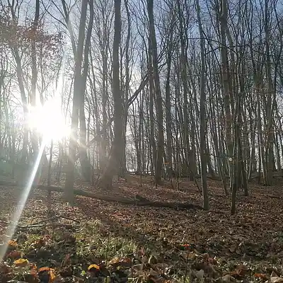 Picture for song '20250205_140809_1FSS_onSiratAlMustaqeem' by artist '786 scheint-Al'lahs Bande'