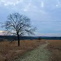 Picture for song 'Stranded' by artist 'TeraLyric'