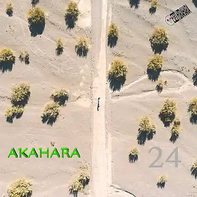 Picture for song 'AKAHARA 24' by artist 'Eizi Hirahara'