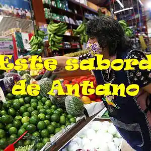 Picture for song 'Este sabor de antaño (preversion)' by artist 'Estelle Derrien'