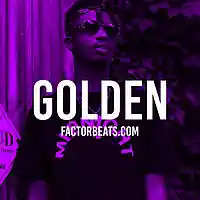 Picture for song '*NEW* Golden ' by artist 'Factor Beats'