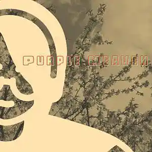 Picture for song 'Purple Heaven - Instrumental Hip Hop Beat' by artist 'Gnom Records'