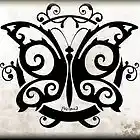 Picture for song 'Black Butterfly(Final Version 04)' by artist 'paul grimwood'