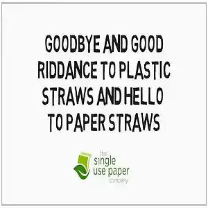 Picture for song 'Paper straws bulk' by artist 'Sammy Hook'