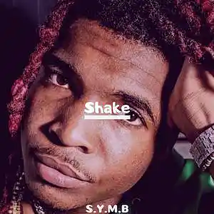 Picture for song '[Free] Shake (Buy 1 Get 2 FREE)' by artist 'S.Y.M.B'