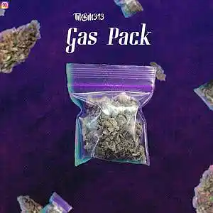 Picture for song 'Gas Pack' by artist 'TMBM313'