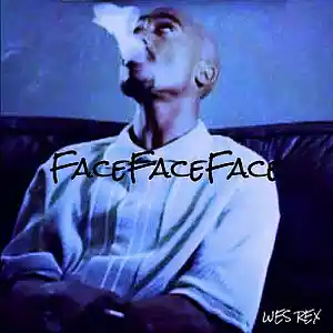 Picture for song 'FaceFaceFace' by artist 'Wes Rex'