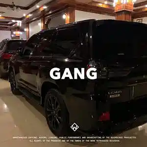 Picture for song 'Gang (Baby Gang Type Beat)' by artist 'WZ Beats Store'