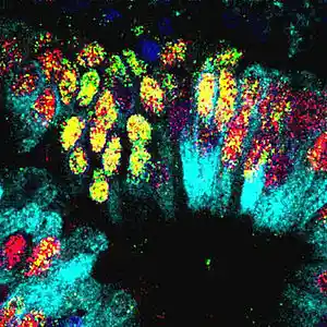 Picture for song 'house' by artist 'AZN BEATS'