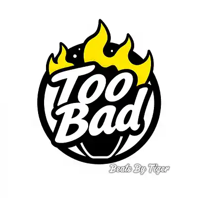Picture for song 'Too Bad' by artist 'Beats By Tiger'