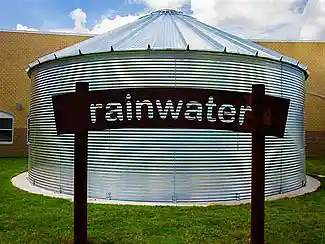 Picture for song 'Rainwater Suite' by artist 'Johanna Renfro'