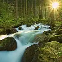 Picture for song 'Isaiah 59:19 (spoken)' by artist 'nHzImage'