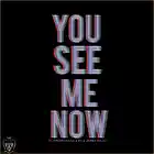 Picture for song 'See Me Now | x Hedonistic' by artist 'NiceGuyBeats'