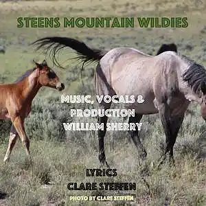 Picture for song 'STEENS MOUNTAIN WILDIES (feat. William Sherry)' by artist 'Round The Globe'