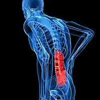 Picture for song 'synthetic pains' by artist 'STIZZLE BEATZ B W T ENT'