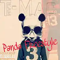 Picture for song '01 panda freestyle 1' by artist 'T MaC 1'