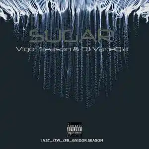 Picture for song 'Sugar_(Afro tech )' by artist 'Vigor Season SA'