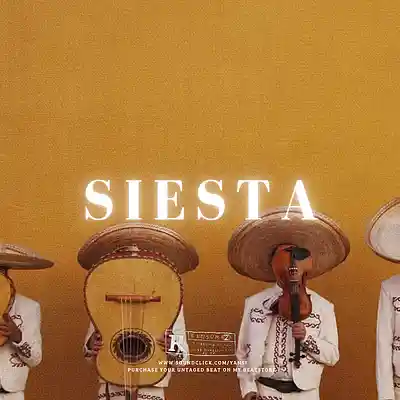 Picture for song '"SIESTA" Latin Afro x Arabic Oud Type Beat' by artist 'yansi'
