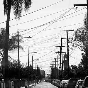 Picture for song 'Acording to the Streets' by artist 'Coastal Tropics ENT'