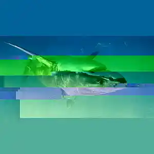 Picture for song 'Gently Turning a Shark Upside Down' by artist 'Desiradio'