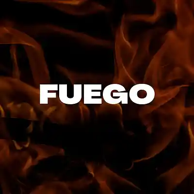 Picture for song 'BNYX, Bizarrap, Yeat, Peso Pluma - fu&euml;go Type Beat' by artist 'dripnotes'