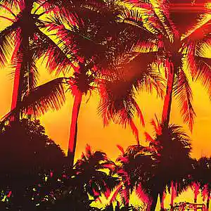 Picture for song 'MELODIC TRAP BEAT "NOISE IN BELL VIESTA"' by artist 'L1DAPRODUCER'