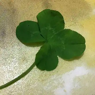 Picture for song 'Where Are You (Suno Cover)' by artist 'meglodave'