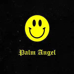 Picture for song 'Palm Angel (Buy 1 Get 2 Free)' by artist 'Nexta Got Heat'