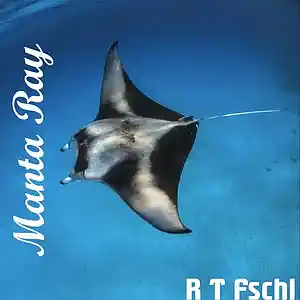 Picture for song 'Manta Ray' by artist 'R T Fschl'