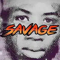 Picture for song 'Savage' by artist 'Space Beatz'