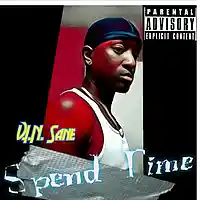 Picture for song 'Spend Time (extended version)' by artist 'V.I.N. Sane'