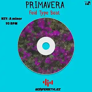 Picture for song 'Primavera - Feid Type Beat [Reggaeton]' by artist 'WonderStylez'