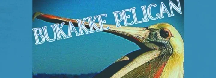 cover pic