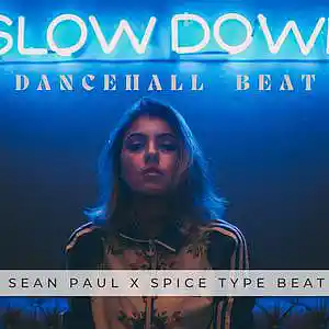 Picture for song 'Slow Down' by artist 'DanoeBeatz'