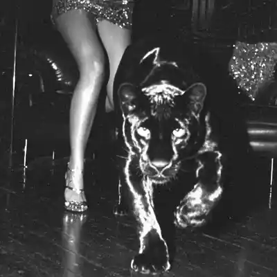 Picture for song 'LV BAG - Future Type Beat - Freestyle Beat 2026' by artist 'Heinzy'