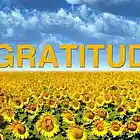 Picture for song 'Started From The Gutta Raw & Uncut Branden Abeyta' by artist 'Icon Entertainment Groups'