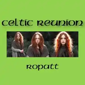 Picture for song 'CELTIC REUNION' by artist 'Ropatt'