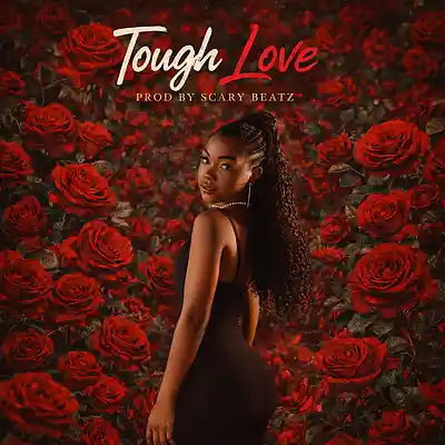 Picture for song 'Tough Love' by artist 'Scary Beatzs'