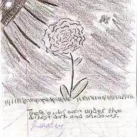 Song picture