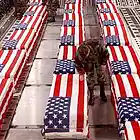 Picture for song 'WArsToll' by artist 'Soldiers in Time'