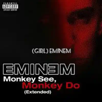 Picture for song 'monkeyseemonkeydoeminemgirleminem' by artist 'Eminem 2'