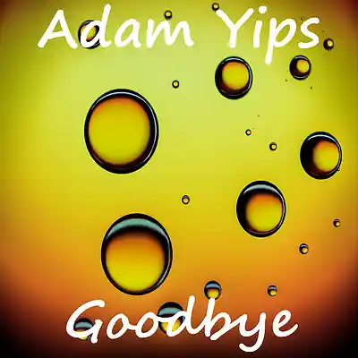Picture for song 'Goodbye' by artist 'Adam Yips'
