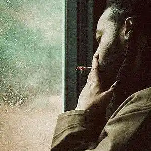 Picture for song 'Play Too Much' by artist 'THE GOD ADOT'